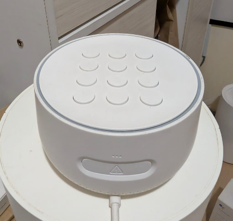Google Nest Security Alarm System